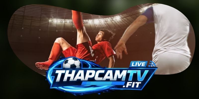 Những trận đấu lý tưởng để tham gia đặt cược tại giải Ý