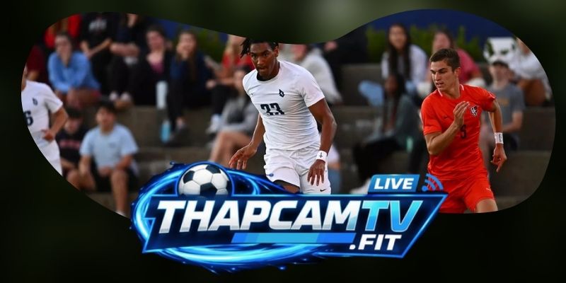 Kèo Total Goals WC2026: Đọc Tổng Bàn Theo Kịch Bản