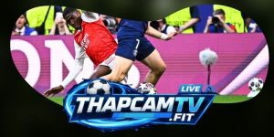Mẹo Chọn Kèo Knock-Out: Lọc Cược Theo Nhánh Đấu