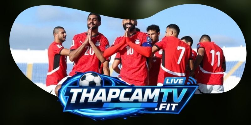 Nhận định tỷ lệ kèo New Zealand vs Ai Cập 08h00 22/06