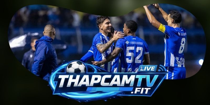 Phân tích kèo Botafogo SP vs Avaí FC 05h00 07/07
