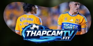 Soi Kèo Queretaro FC Vs Tigres UANL 06h00 02/08