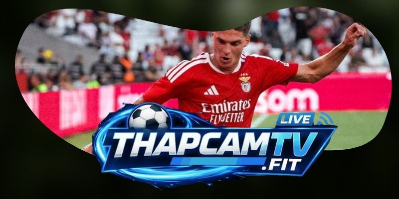 Benfica và Viseu trước cuộc đấu về sức ép liên tục